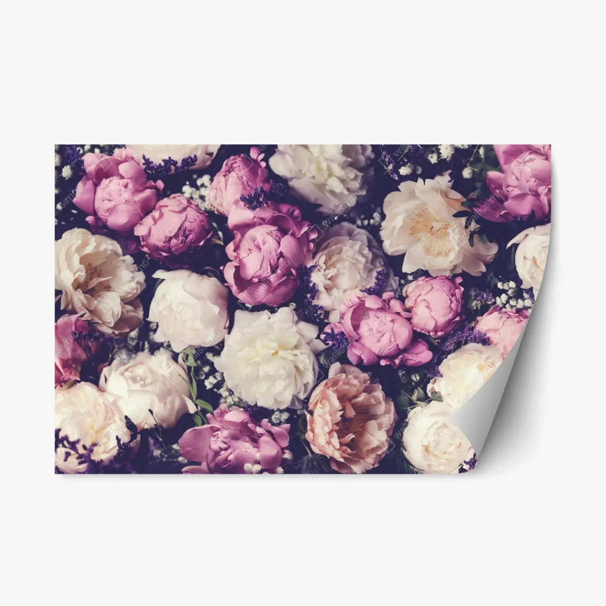 Repositionable sticker romantic peony bouquet in pastel tones • Wallissimo® Repositionable sticker romantic peony bouquet in pastel tones • Wallissimo®