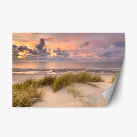 Repositionable sticker sunset over Zeeland dunes • Wallissimo®