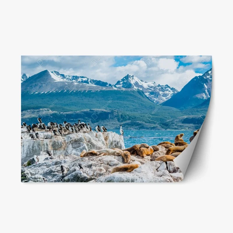 Repositionable sticker sea lions and seabirds by the alpine coast