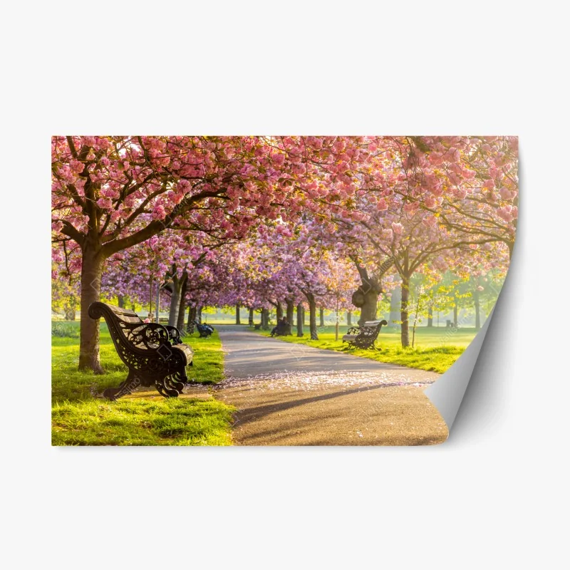 Repositionable sticker playful peeking cats on a striped background • Wallissimo®