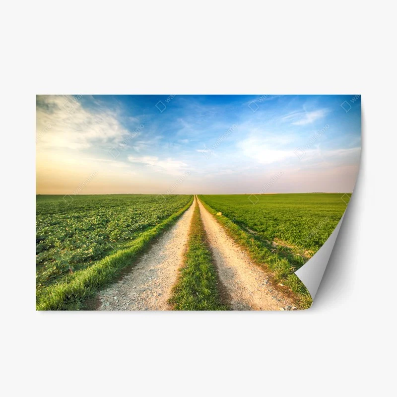 Repositionable sticker country road through green fields
