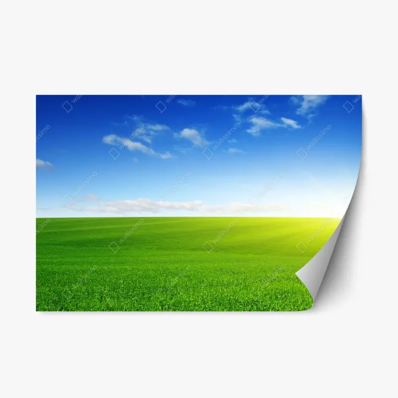 Repositionable sticker • Wallissimo®
