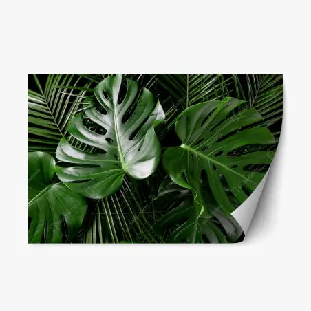 Repositionable sticker lush monstera leaves composition • Wallissimo®