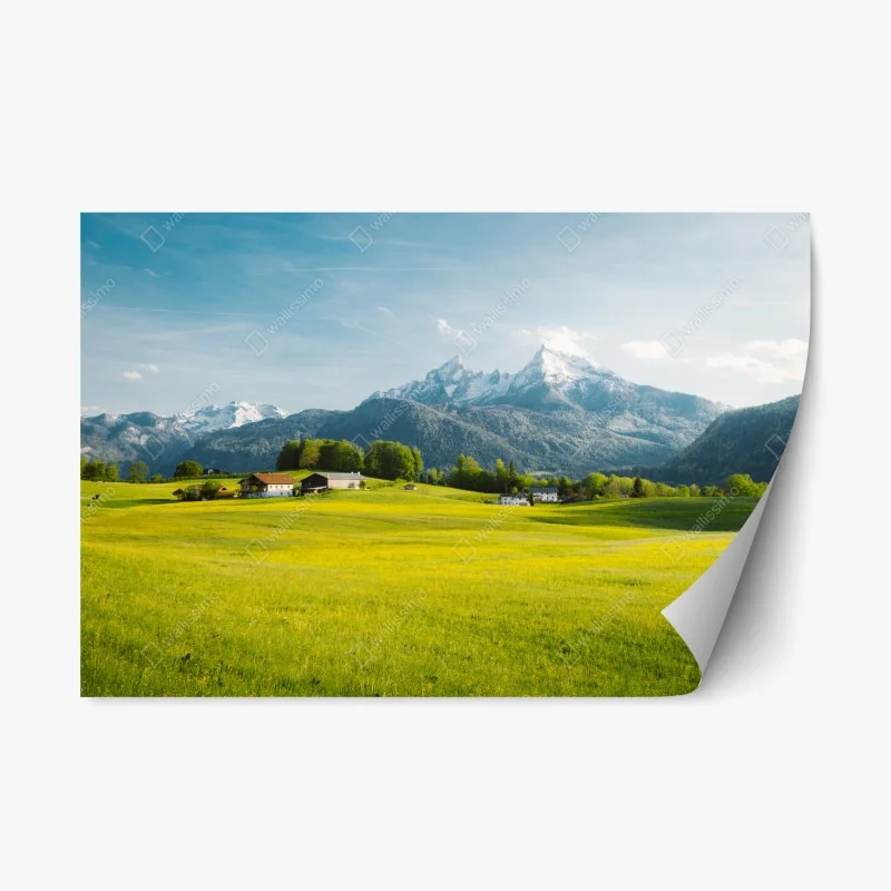 Repositionable sticker alpine meadow beneath snowcapped peaks