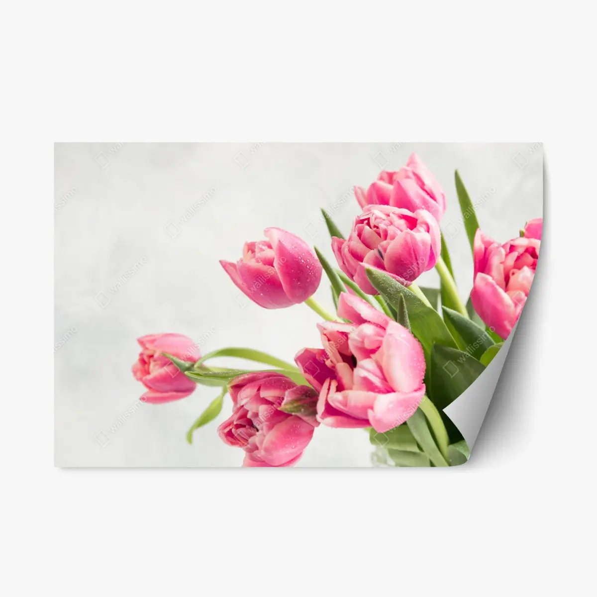 Repositionable sticker elegant pink tulip bouquet • Wallissimo® Repositionable sticker elegant pink tulip bouquet • Wallissimo®