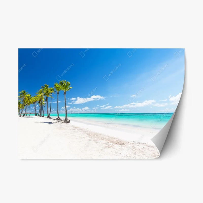 Repositionable sticker palm trees on Punta Cana beach