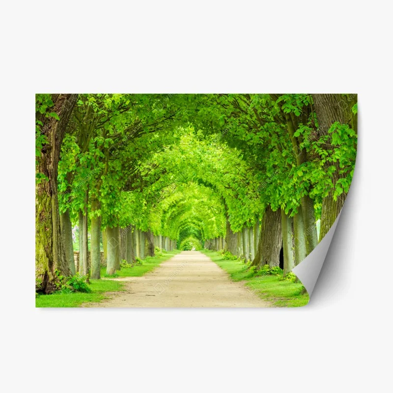 Repositionable sticker green tree tunnel walkway