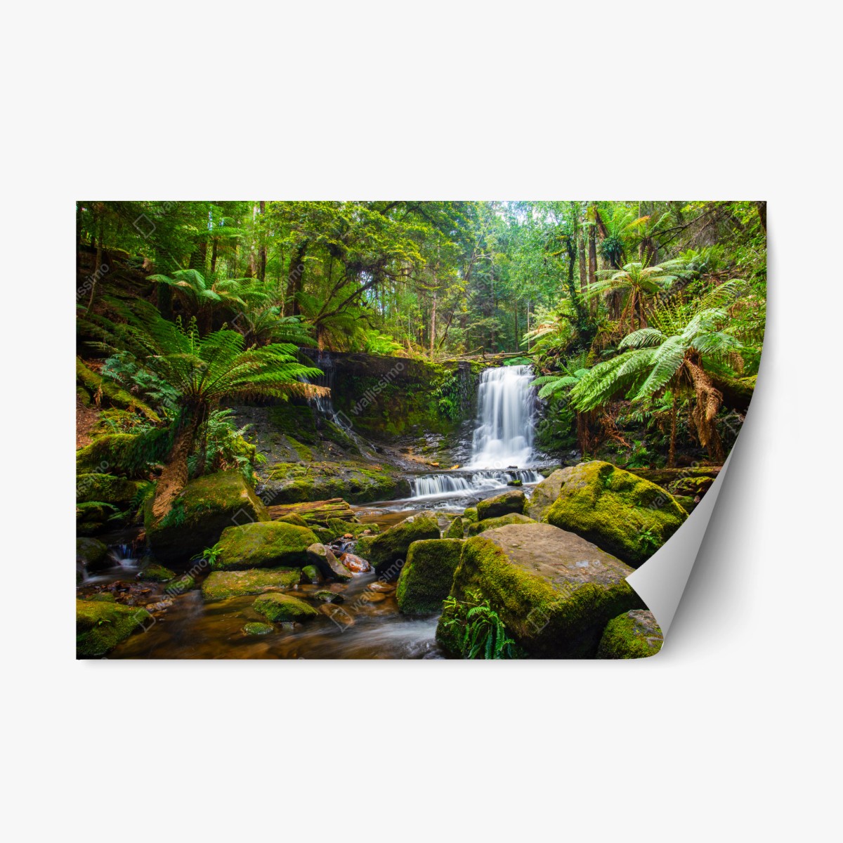Repositionable sticker lush forest waterfall retreat • Wallissimo® Repositionable sticker lush forest waterfall retreat • Wallissimo®