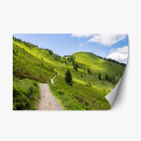 Repositionable sticker sunlit mountain trail through green meadow • Wallissimo®