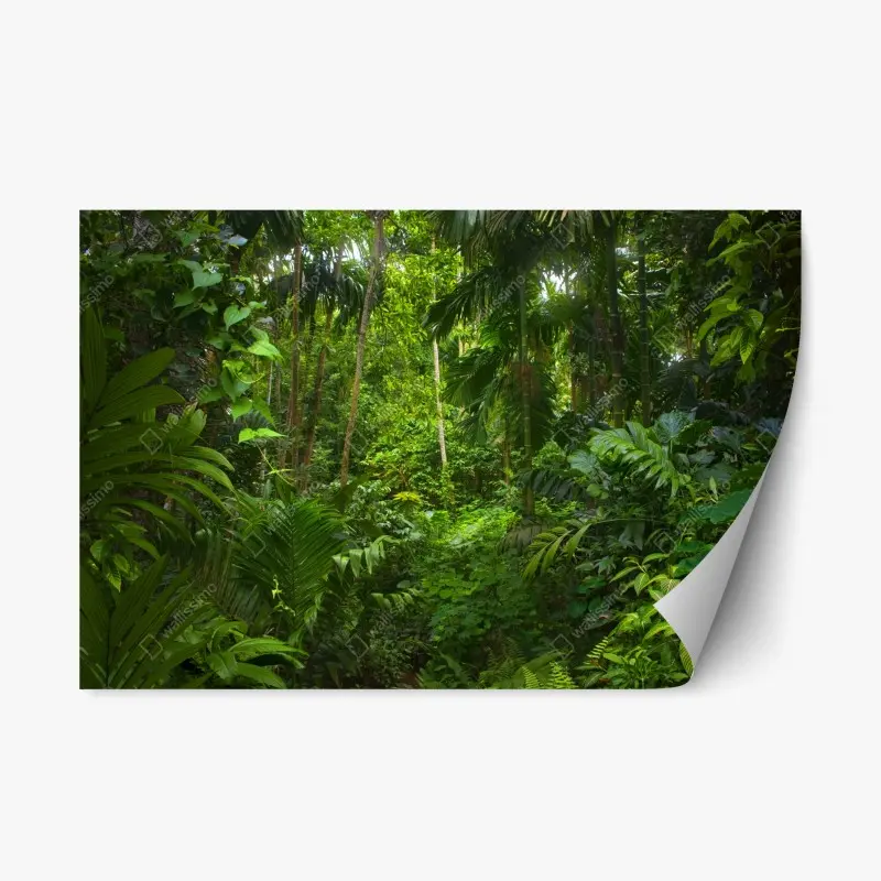 Repositionable sticker lush tropical jungle canopy