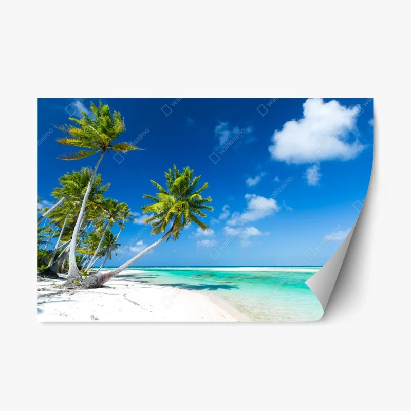 Repositionable sticker tropical turquoise beach paradise