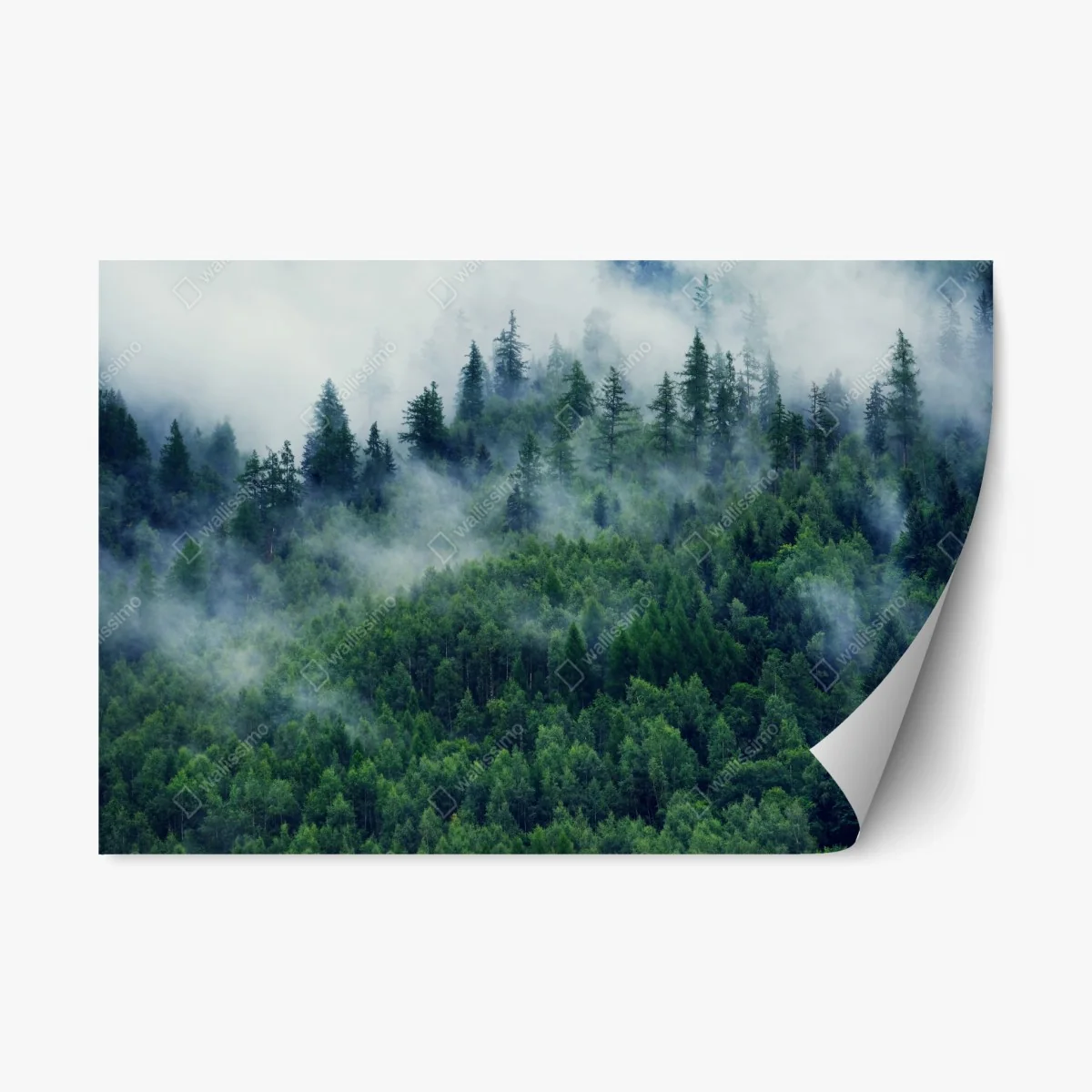 Repositionable sticker misty green forest landscape • Wallissimo® Repositionable sticker misty green forest landscape • Wallissimo®