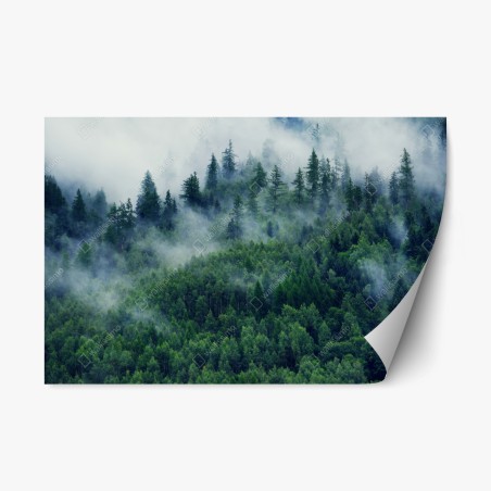 Repositionable sticker misty green forest landscape • Wallissimo®