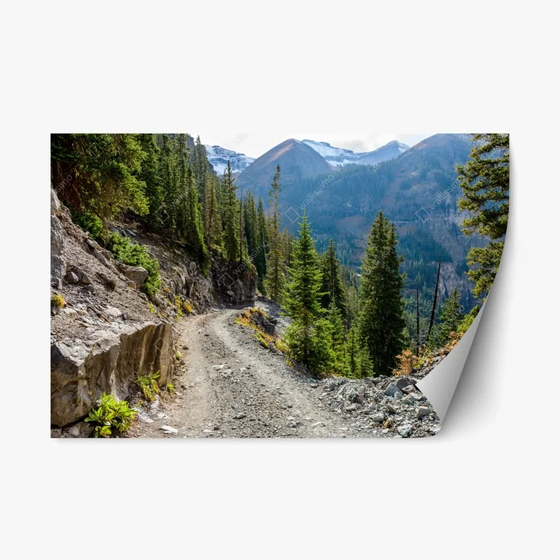 Repositionable sticker • Wallissimo®