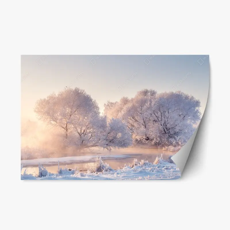 Repositionable sticker frosted trees at sunrise