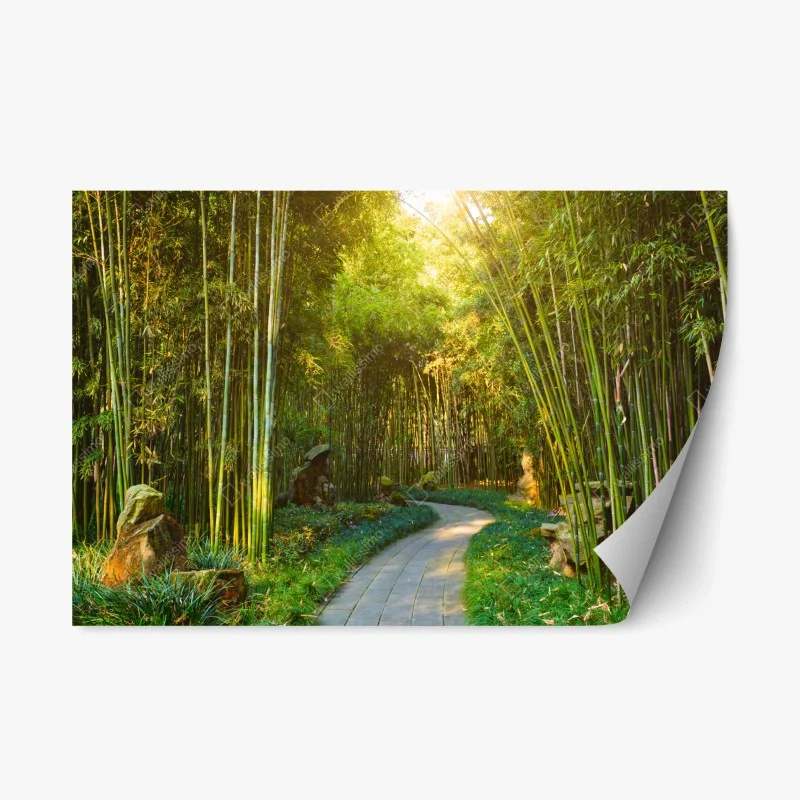 Repositionable sticker serene bamboo forest pathway