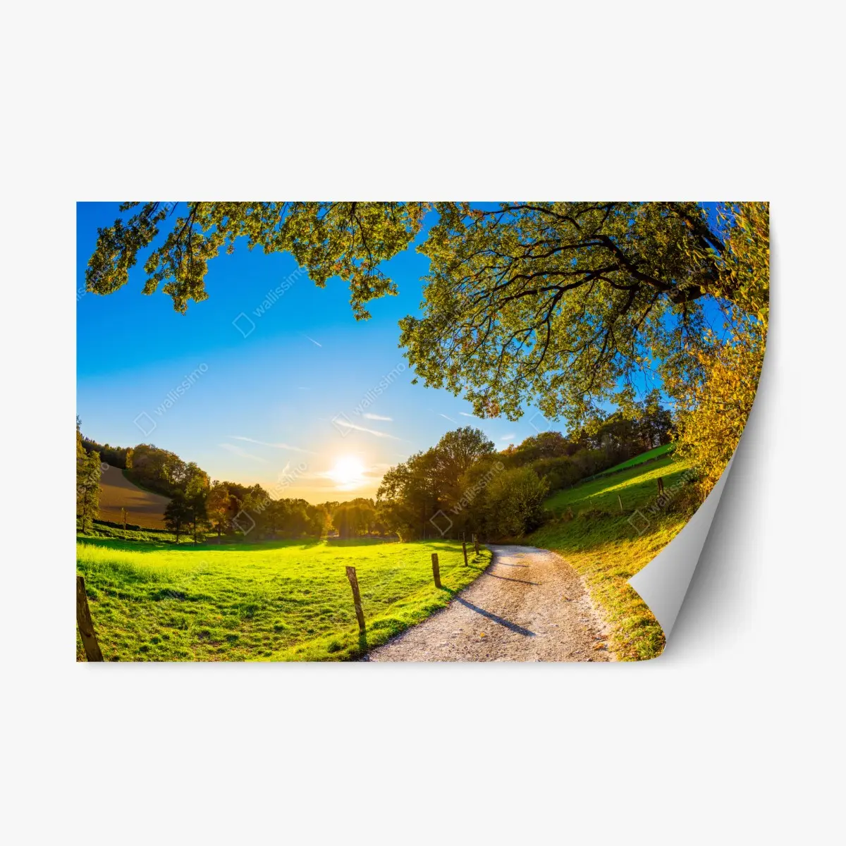Repositionable sticker sunlit meadow country road at sunset ⁕ Wallissimo® Repositionable sticker sunlit meadow country road at sunset ⁕ Wallissimo®