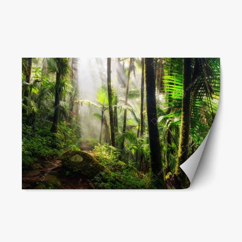 Repositionable sticker tropical rainforest with sunbeams