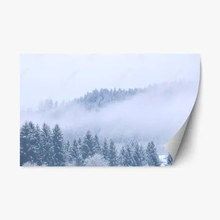 Repositionable sticker winter mist over coniferous forest • Wallissimo®