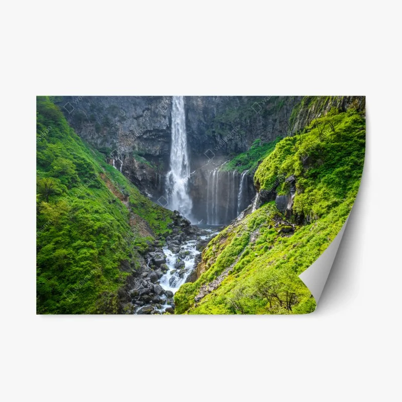 Repositionable sticker • Wallissimo®