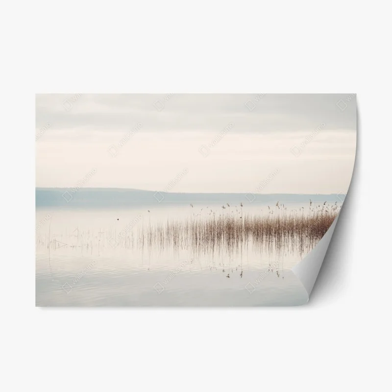Repositionable sticker serene lakeside reeds at dawn