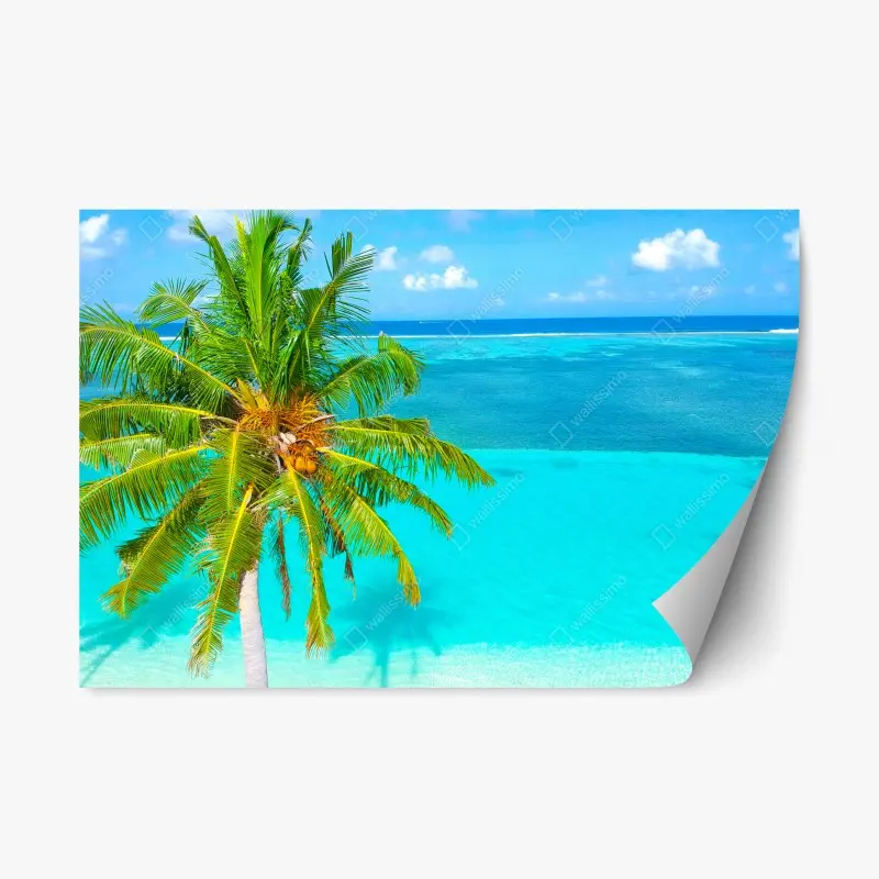 Repositionable sticker Seljalandsfoss waterfall at sunset • Wallissimo®