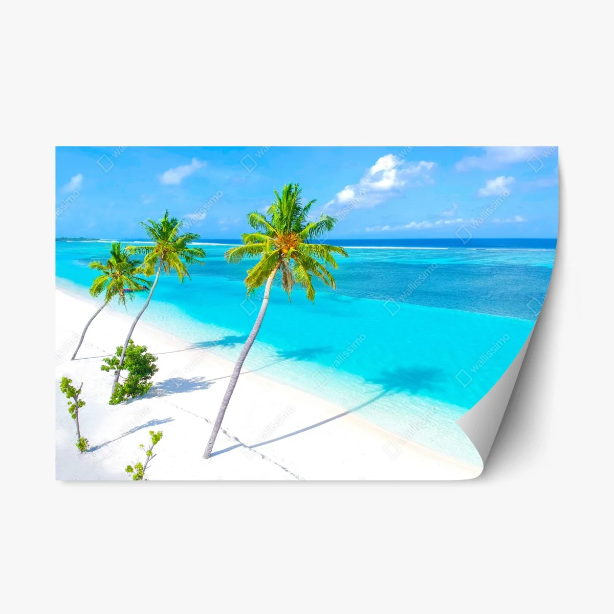 Repositionable sticker tropical turquoise beach with palm trees ⁕ Wallissimo® Repositionable sticker tropical turquoise beach with palm trees ⁕ Wallissimo®