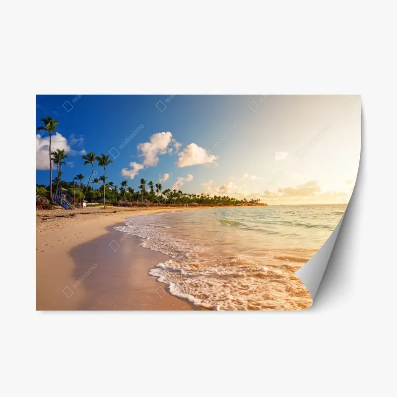 Repositionable sticker • Wallissimo®