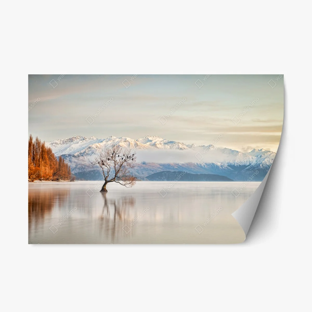 Repositionable sticker solitary tree on Lake Wanaka • Wallissimo® Repositionable sticker solitary tree on Lake Wanaka • Wallissimo®