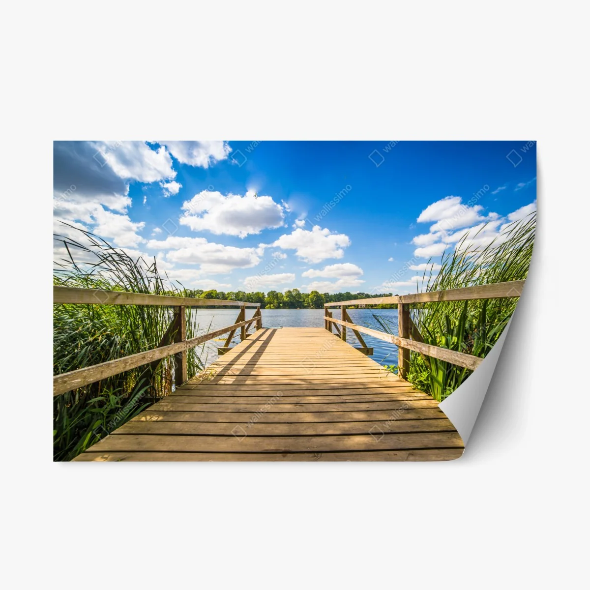 Repositionable sticker sunlit lakeside dock at midday • Wallissimo® Repositionable sticker sunlit lakeside dock at midday • Wallissimo®