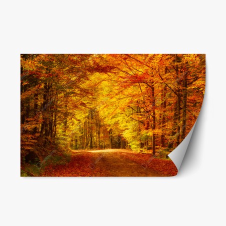 Repositionable sticker golden autumn forest pathway • Wallissimo®