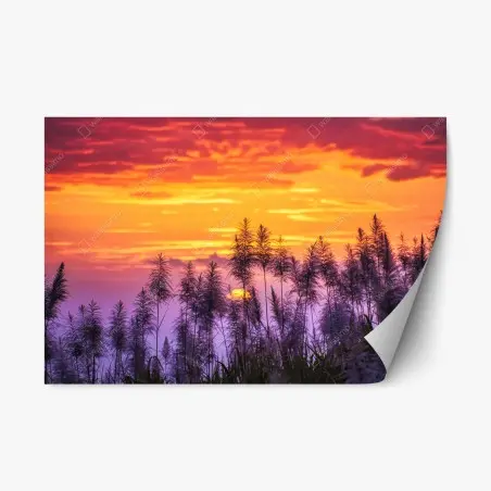Repositionable sticker golden sunset over wild grasses • Wallissimo®