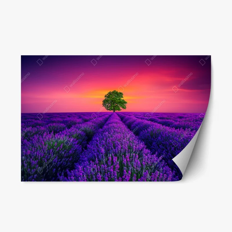 Repositionable sticker • Wallissimo®