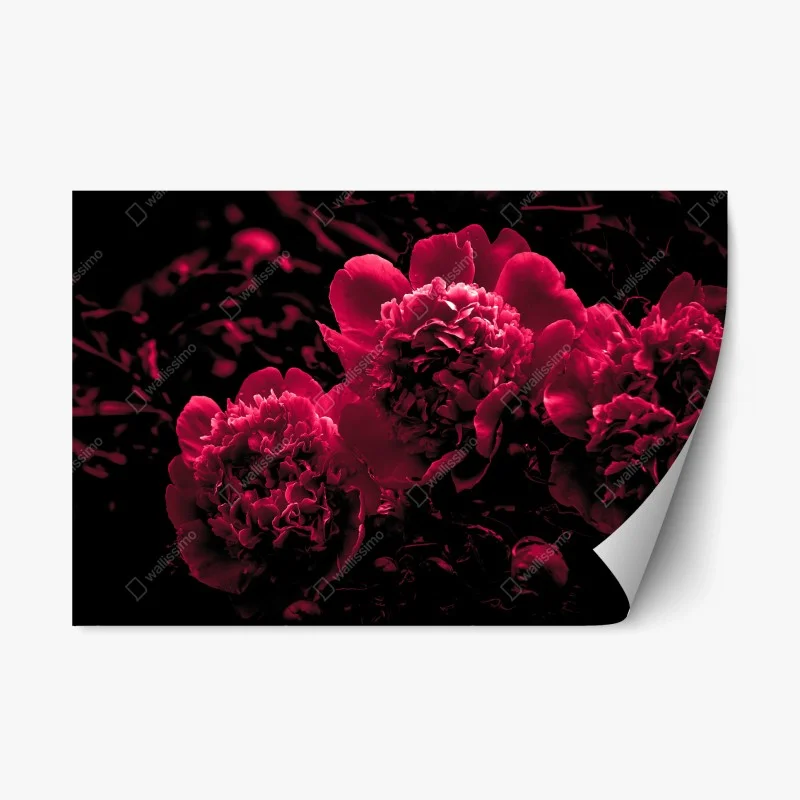 Repositionable sticker moody pink peony trio ⁕ Wallissimo® Repositionable sticker moody pink peony trio ⁕ Wallissimo®