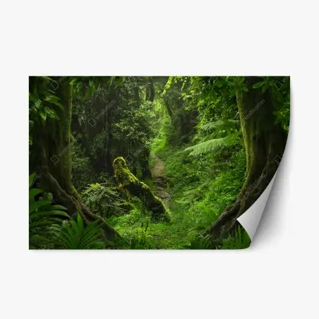 Repositionable sticker enchanted mossy forest pathway • Wallissimo®