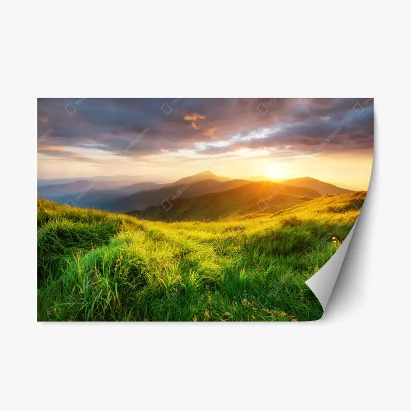 Repositionable sticker sunlit mountain meadow at sunrise