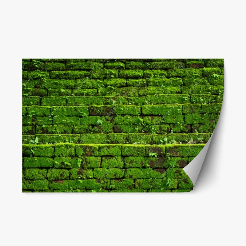 Repositionable sticker lush moss-covered brick wall