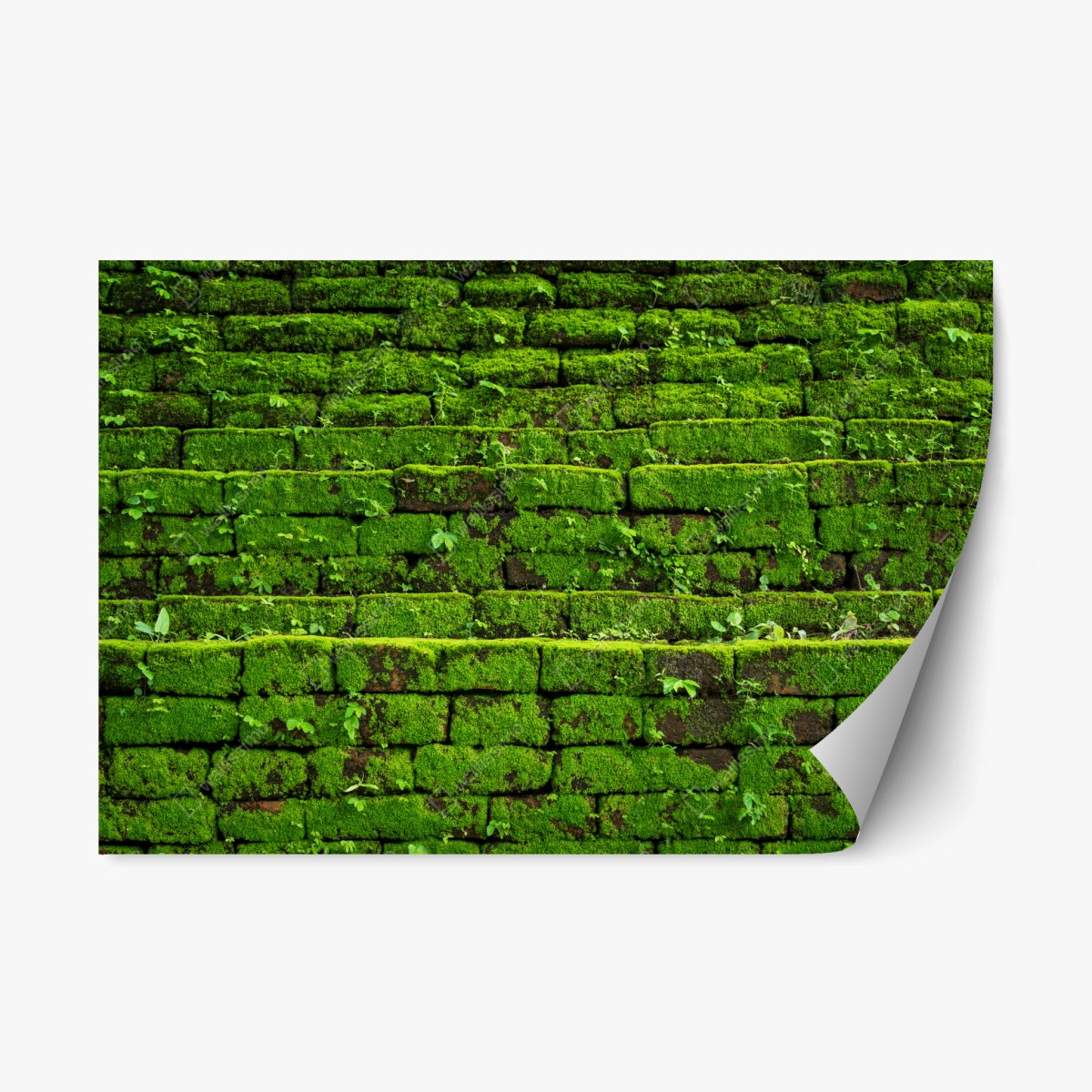 Repositionable sticker lush moss-covered brick wall • Wallissimo® Repositionable sticker lush moss-covered brick wall • Wallissimo®