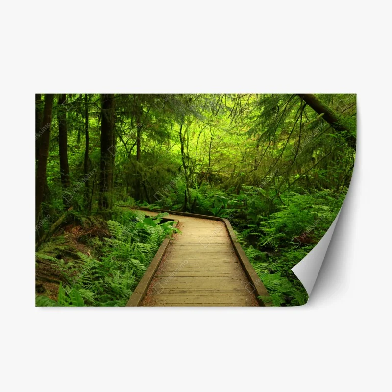 Repositionable sticker serene green forest boardwalk