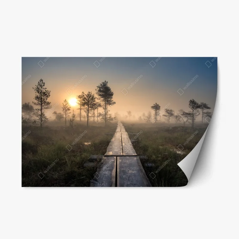 Repositionable sticker misty sunrise over wooden boardwalk