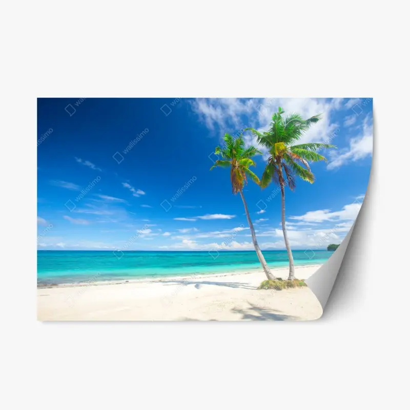 Repositionable sticker tropical palms on a turquoise beach