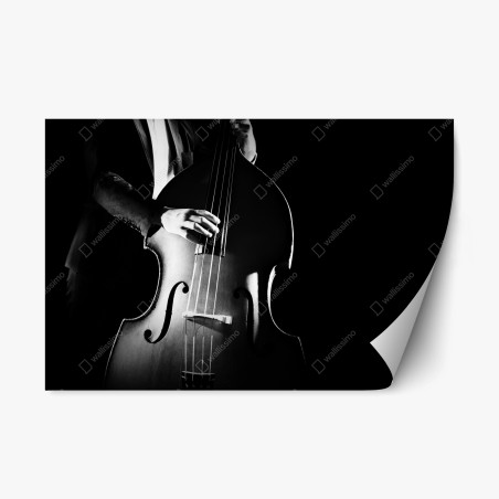 Repositionable sticker double bass player in dramatic monochrome • Wallissimo®