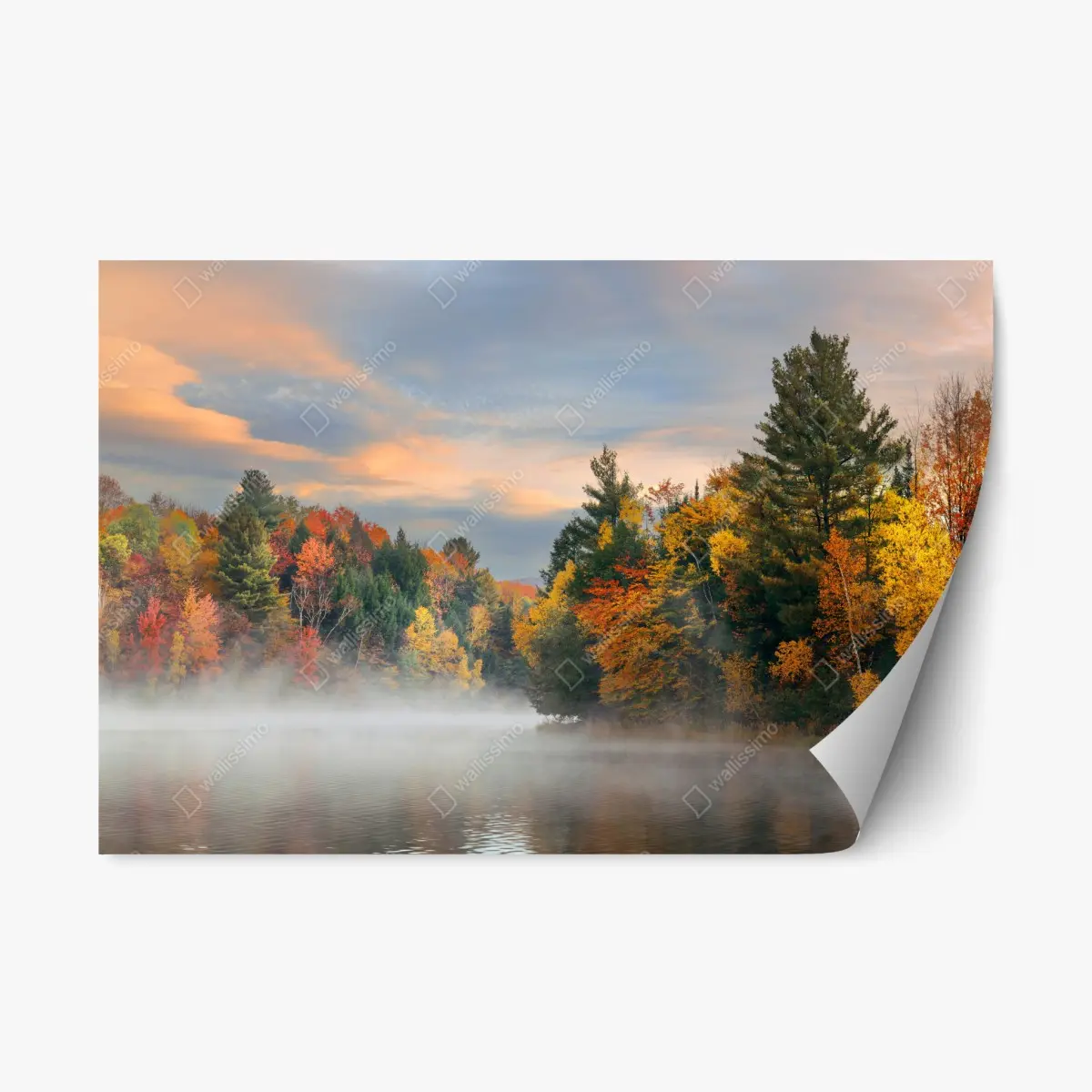 Repositionable sticker misty autumn morning in Stowe • Wallissimo® Repositionable sticker misty autumn morning in Stowe • Wallissimo®