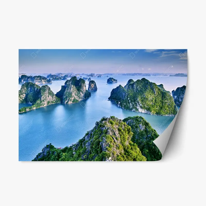 Repositionable sticker white gerbera on black minimalist close-up • Wallissimo®