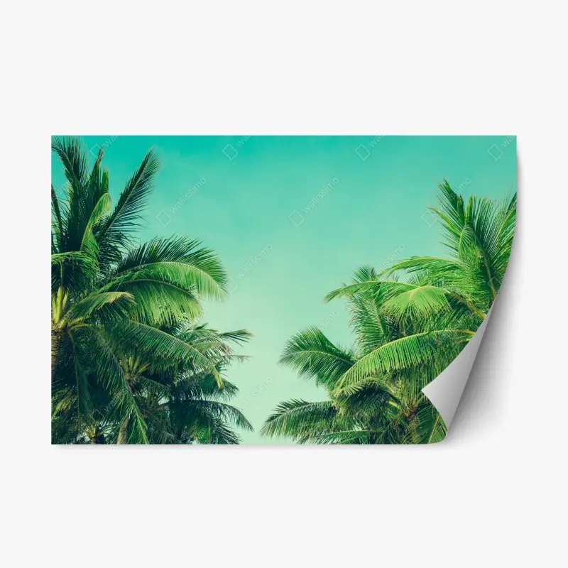 Repositionable sticker • Wallissimo®