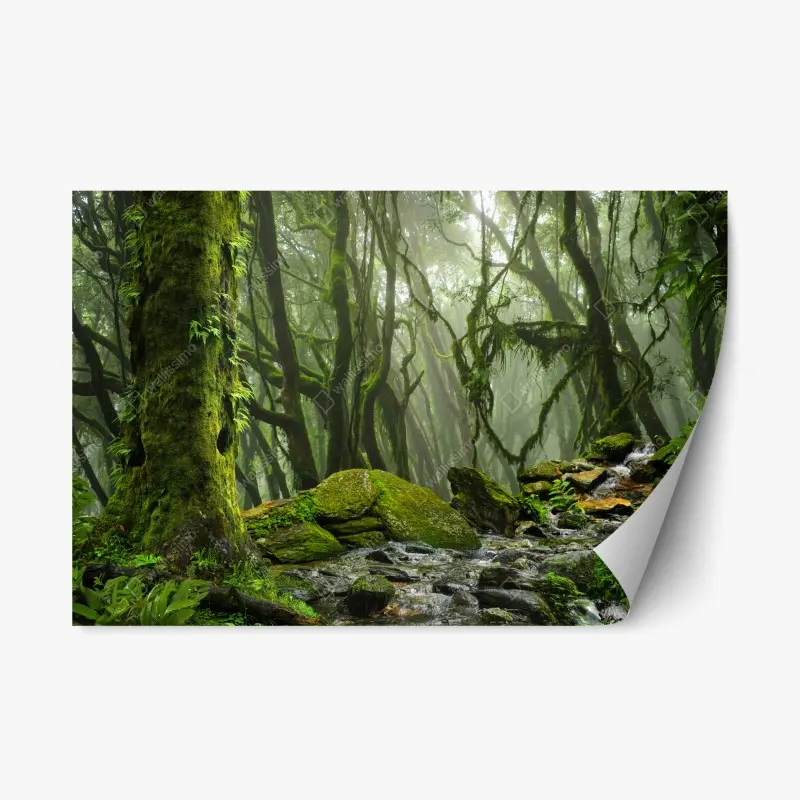 Repositionable sticker mossy forest stream in morning mist