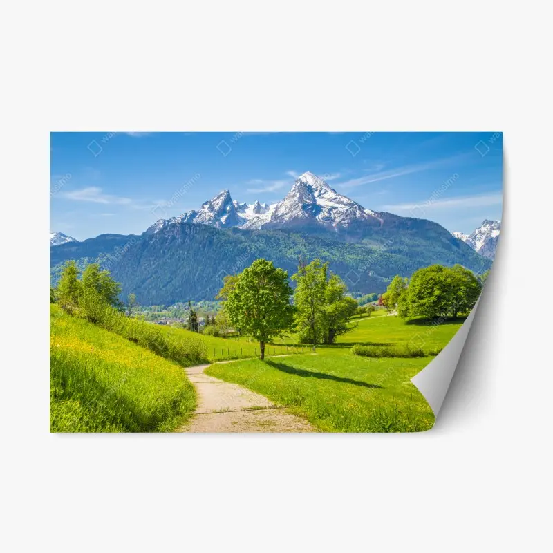 Repositionable sticker serene alpine meadow with mountain peaks