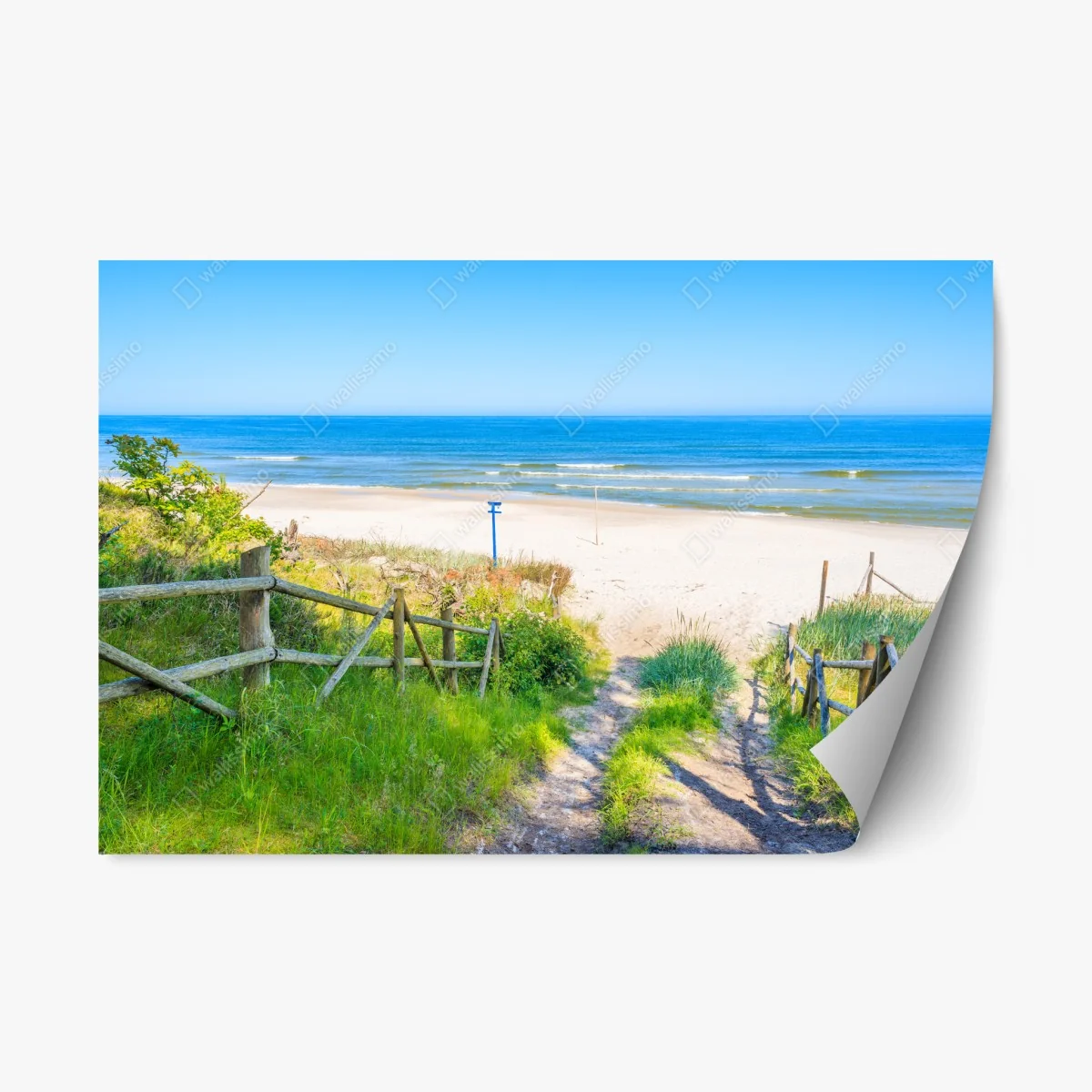 Repositionable sticker path to Baltic Sea beach • Wallissimo® Repositionable sticker path to Baltic Sea beach • Wallissimo®