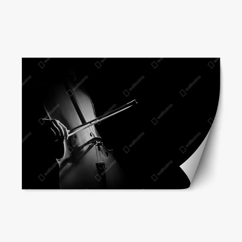 Repositionable sticker elegant cello in monochrome