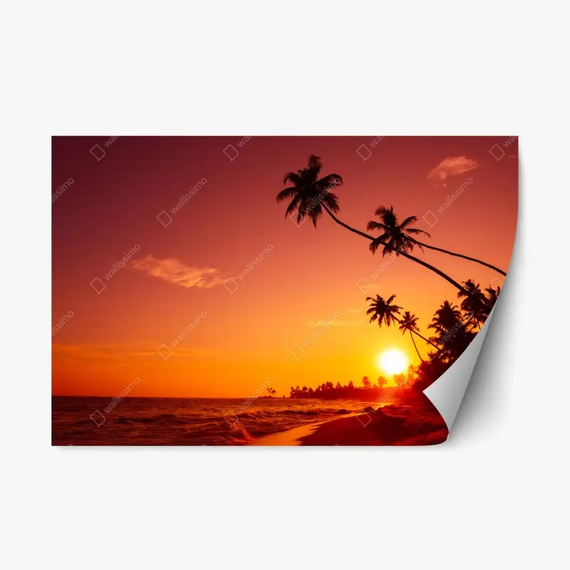 Repositionable sticker tropical sunset beach silhouette